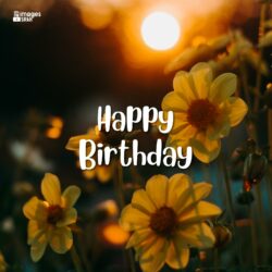 Happy Birthday Images Of Flowers Full Hd