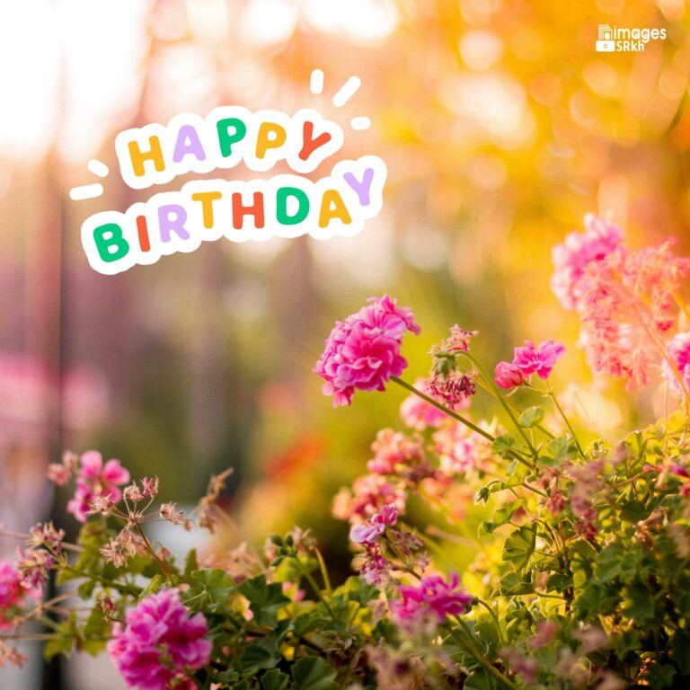 Happy Birthday Images Of Flowers Hd Quality full HD free download.