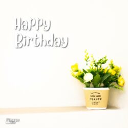 Happy Birthday Images Of Flowers Premium Qulity