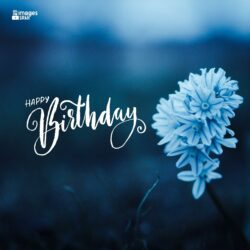 Happy Birthday Images Of Flowers Pro Quality
