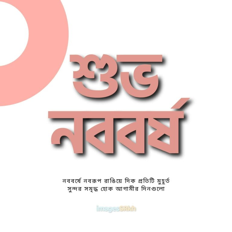 Subho Nababarsha 3 শুভ নববর্ষ full HD free download.