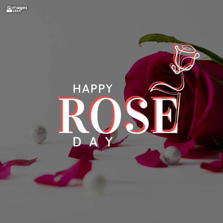 Happy Rose Day Image Hd Download 102 full HD free download.