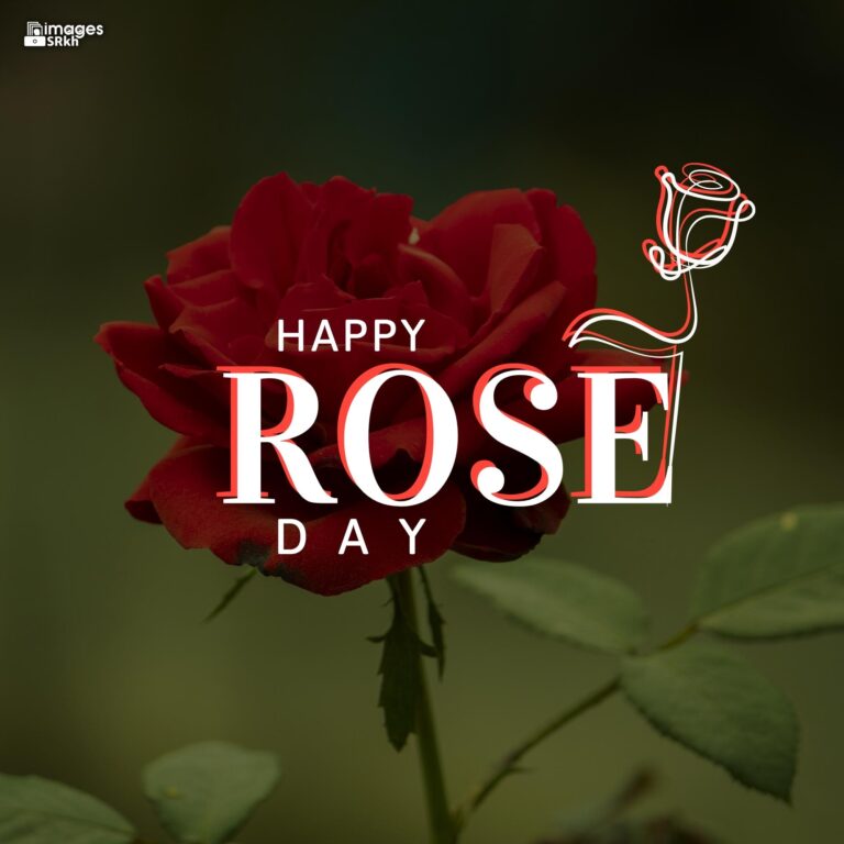 Happy Rose Day Image Hd Download 103 full HD free download.