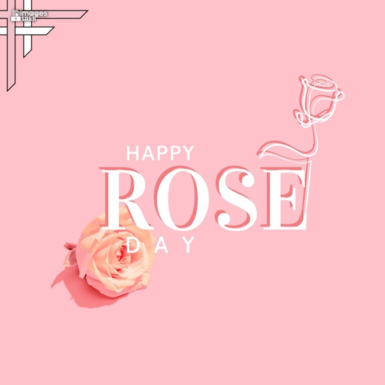 Happy Rose Day Image Hd Download 106 full HD free download.