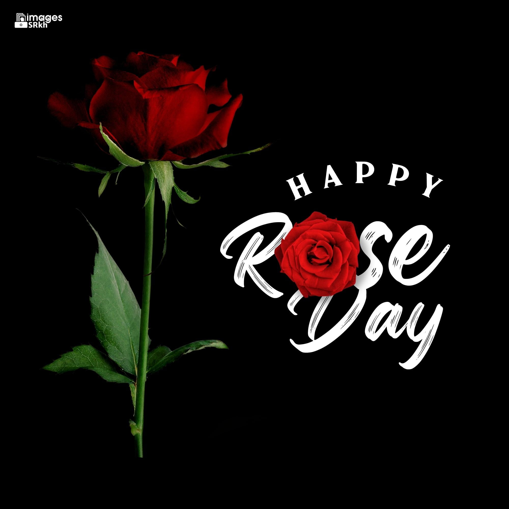 Happy Rose Day Image Hd Download (11)