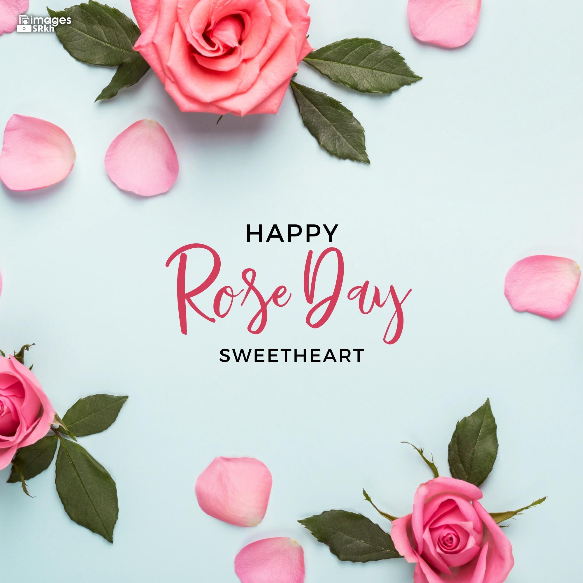 Happy Rose Day Image Hd Download (110)