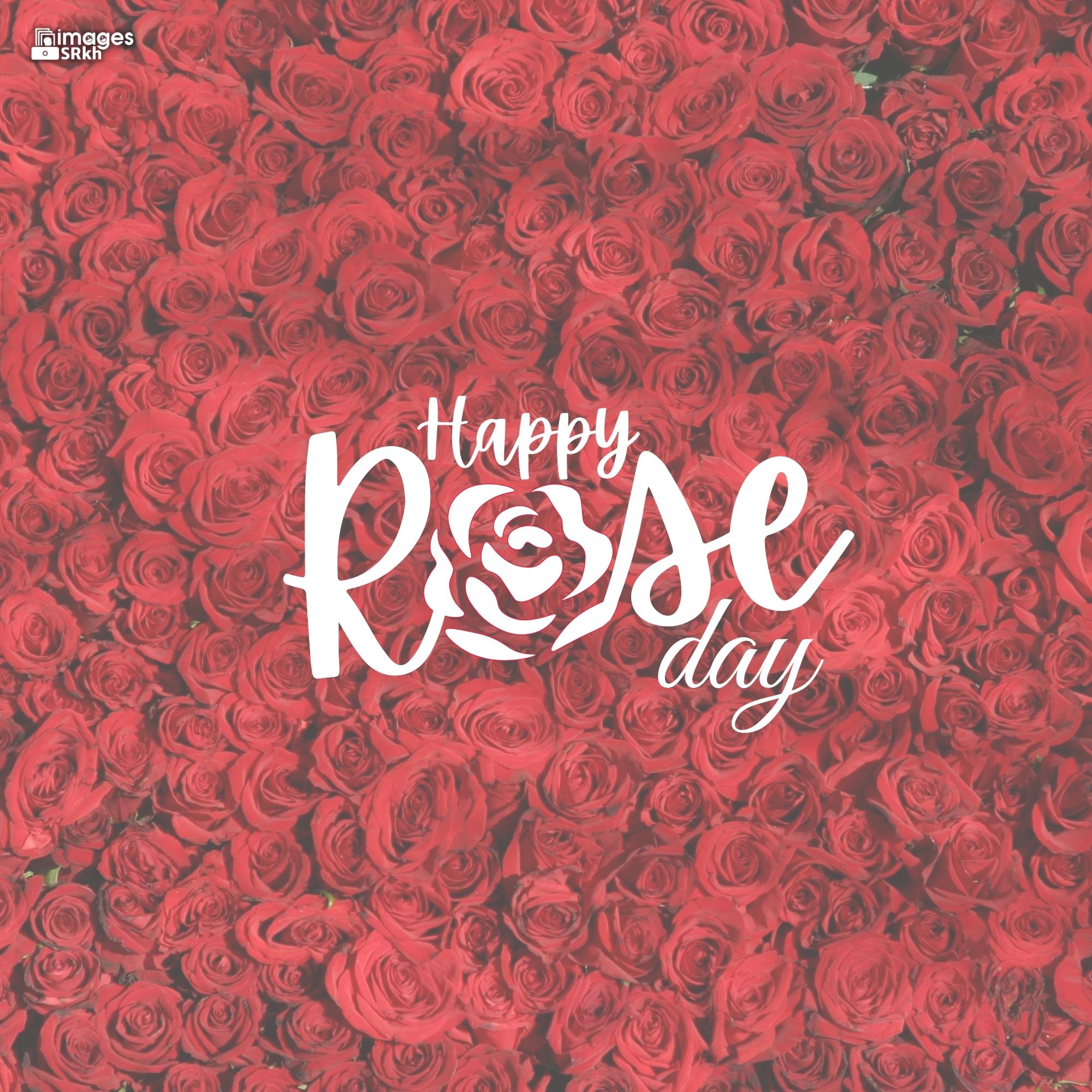 Happy Rose Day Image Hd Download (17)