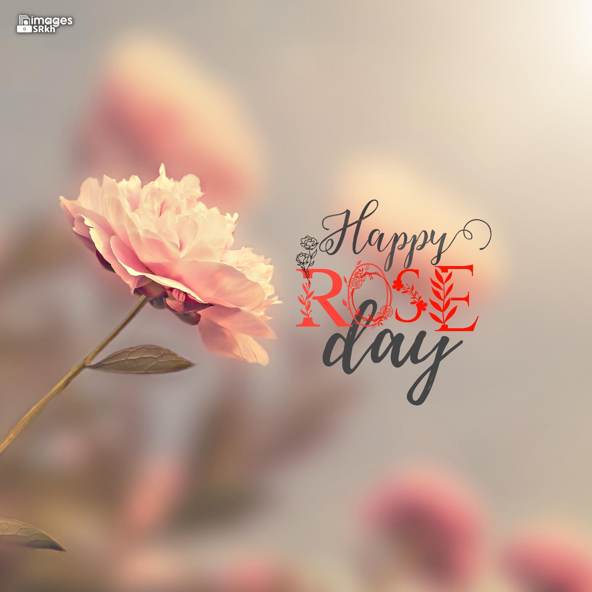 Happy Rose Day Image Hd Download (19)