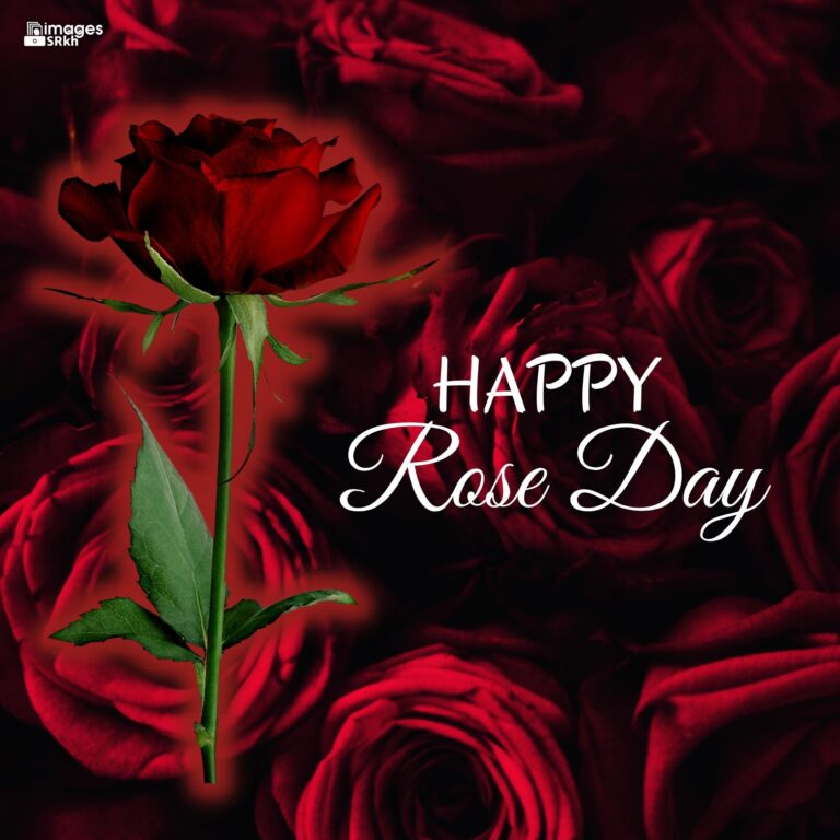 Happy Rose Day Image Hd Download 2 full HD free download.