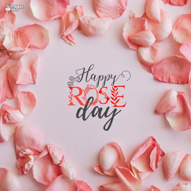 Happy Rose Day Image Hd Download 20 full HD free download.