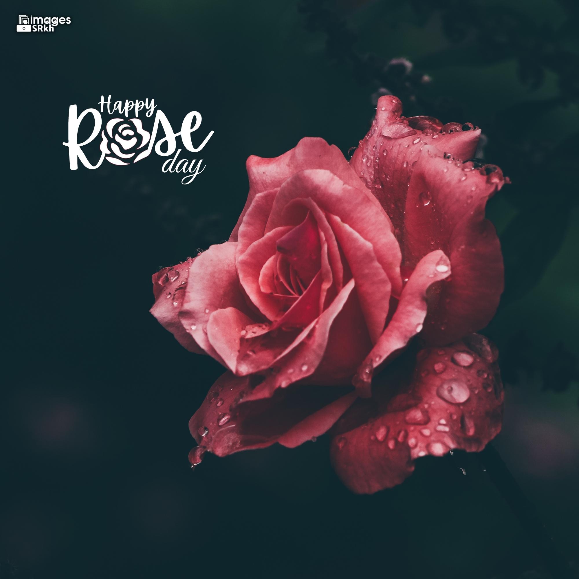 Happy Rose Day Image Hd Download (22)