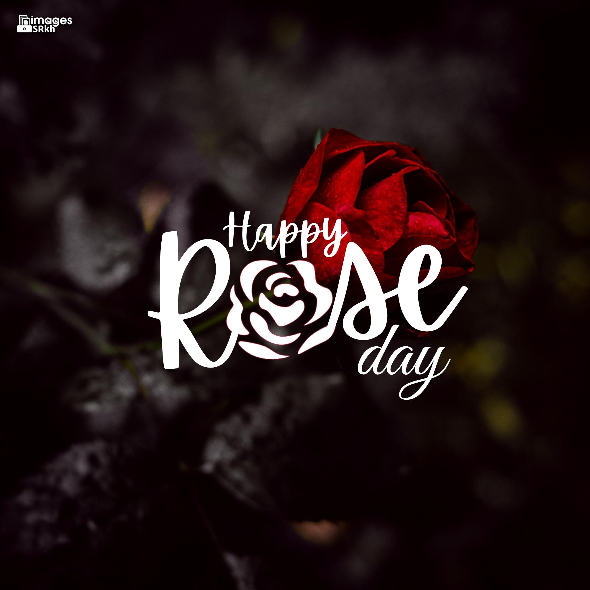 🔥 Happy Rose Day Image Hd Download (24) Download free - Images SRkh