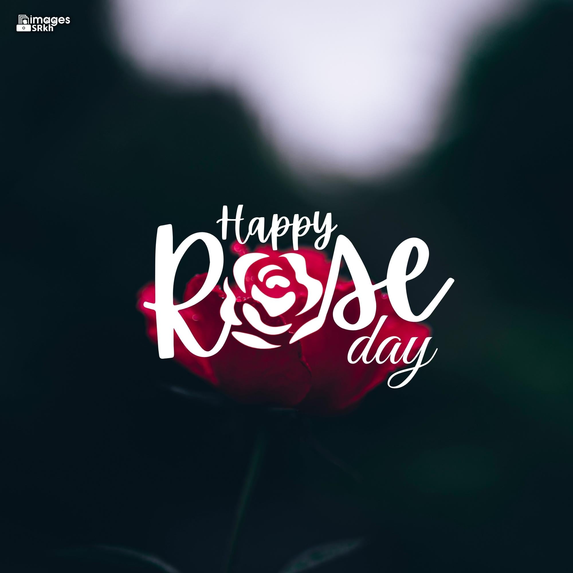 Happy Rose Day Image Hd Download (27)