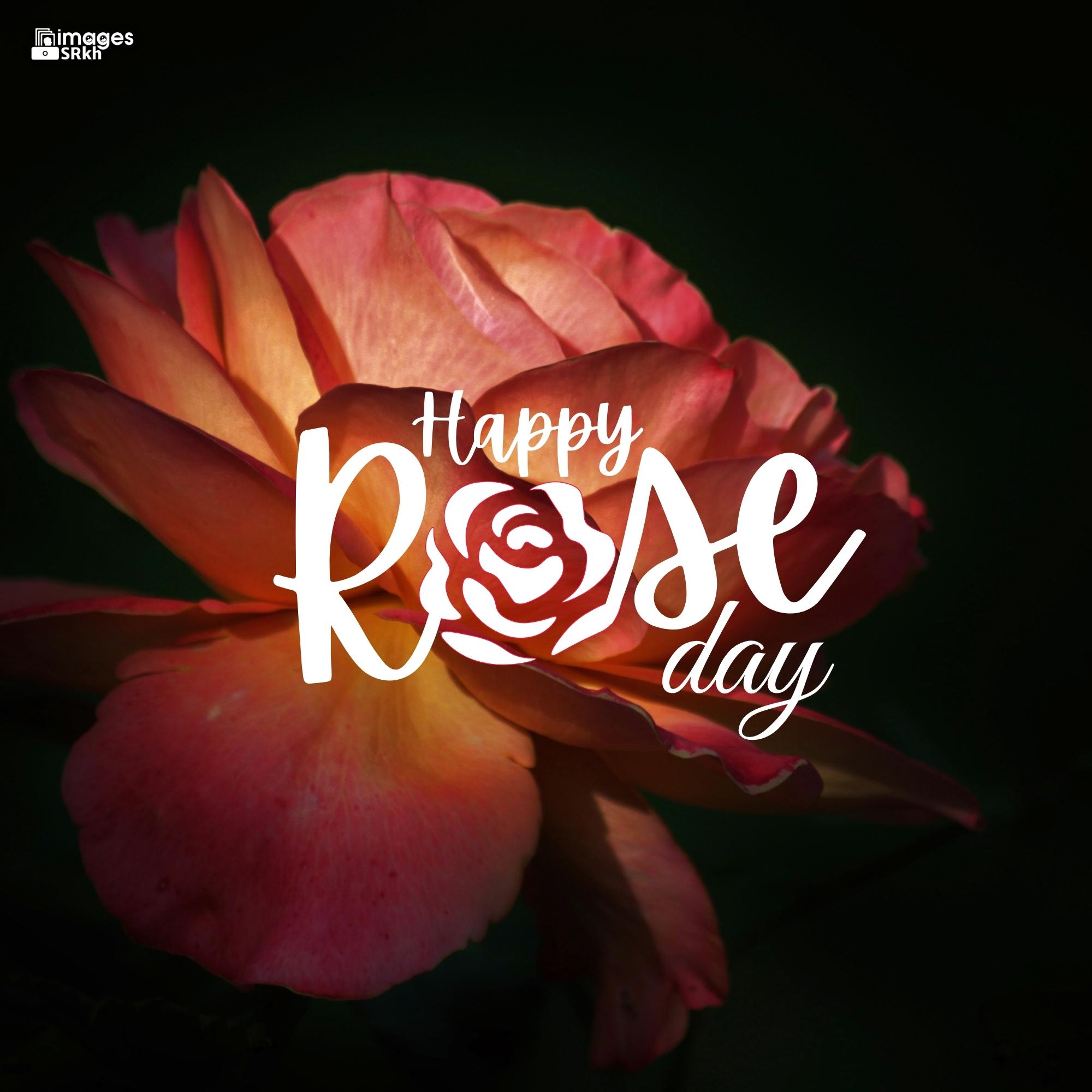 Happy Rose Day Image Hd Download (28)