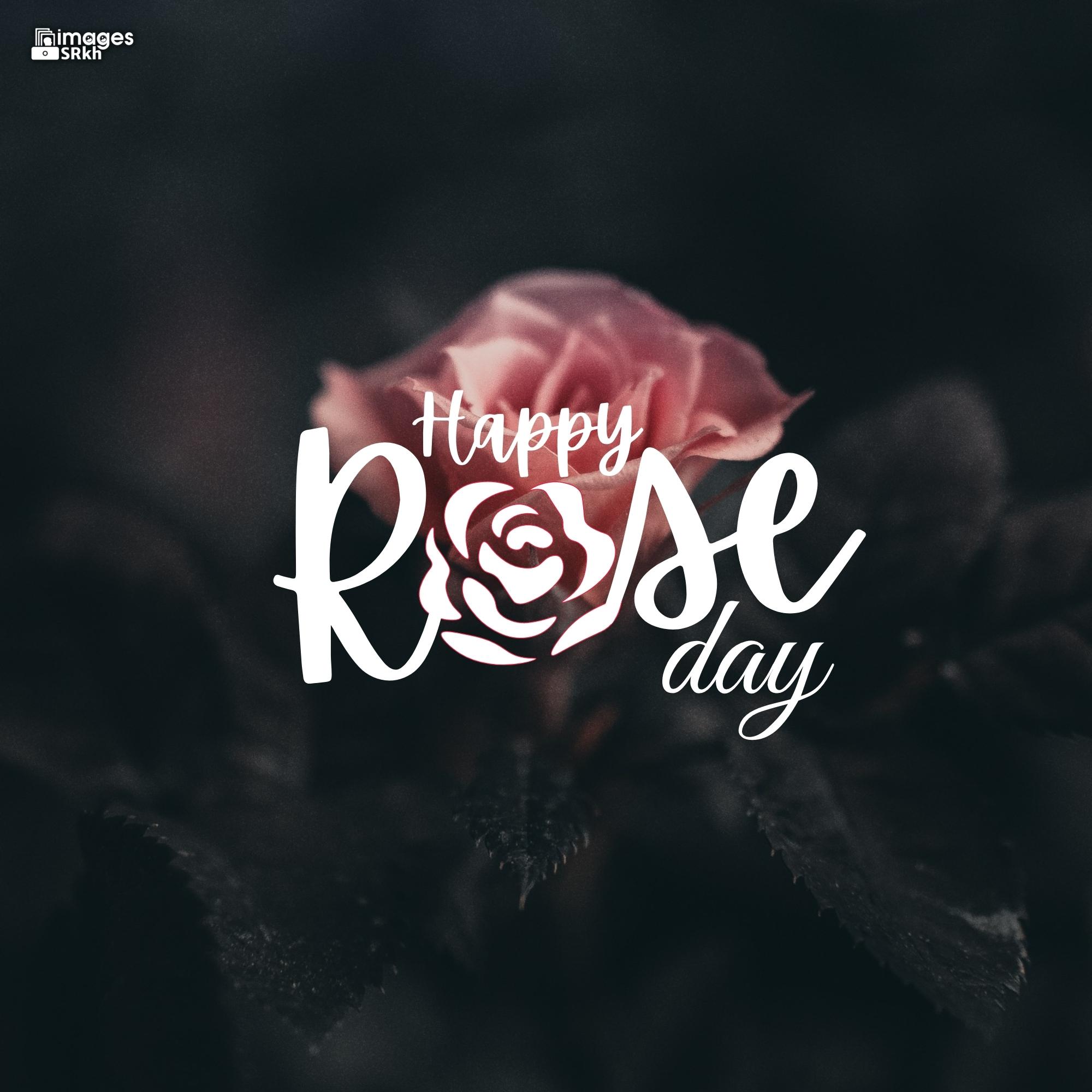 Happy Rose Day Image Hd Download (29)