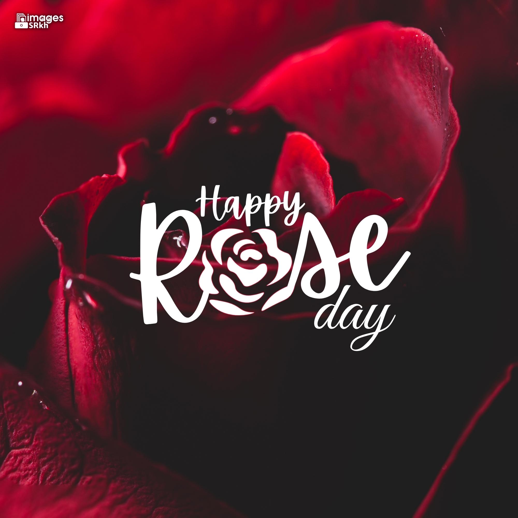 Happy Rose Day Image Hd Download (38)