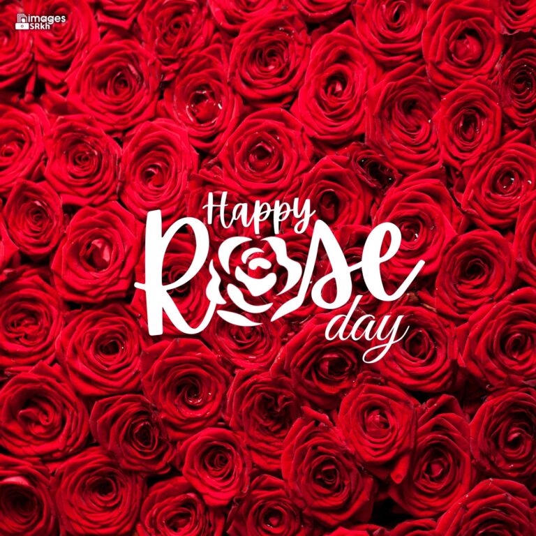 Happy Rose Day Image Hd Download 39 full HD free download.