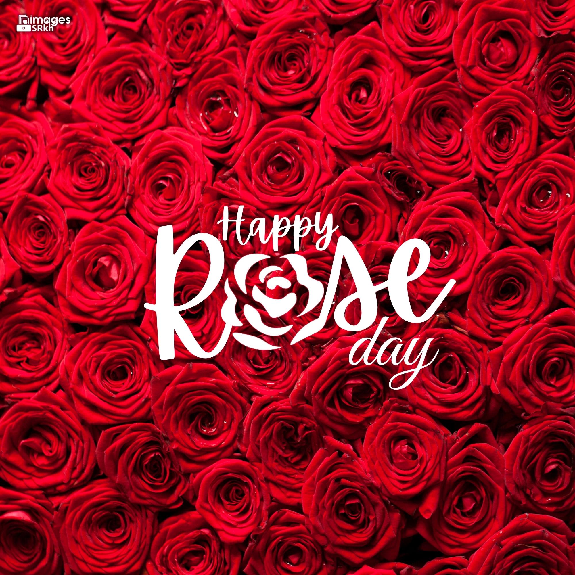 Happy Rose Day Image Hd Download (39)