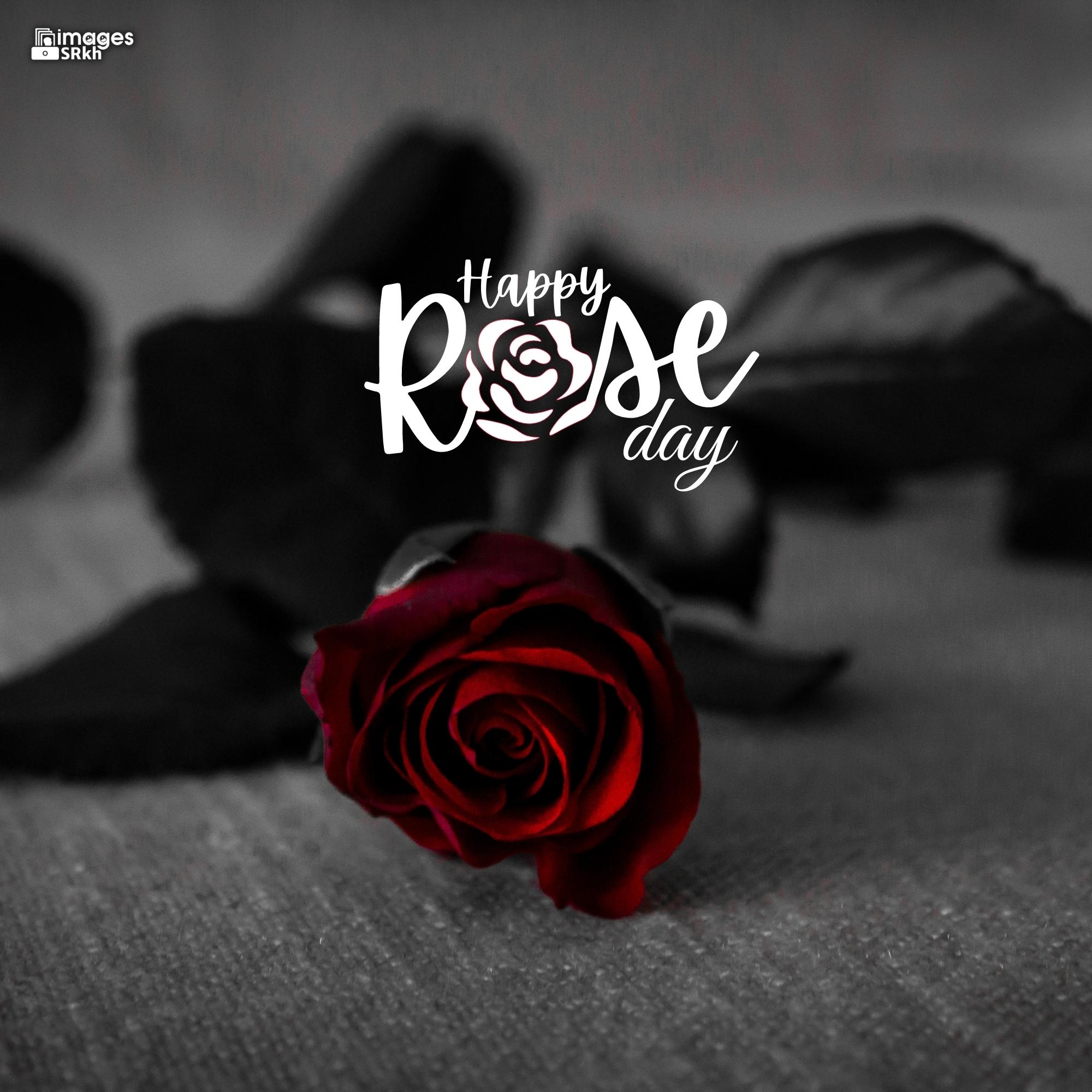 Happy Rose Day Image Hd Download (40)