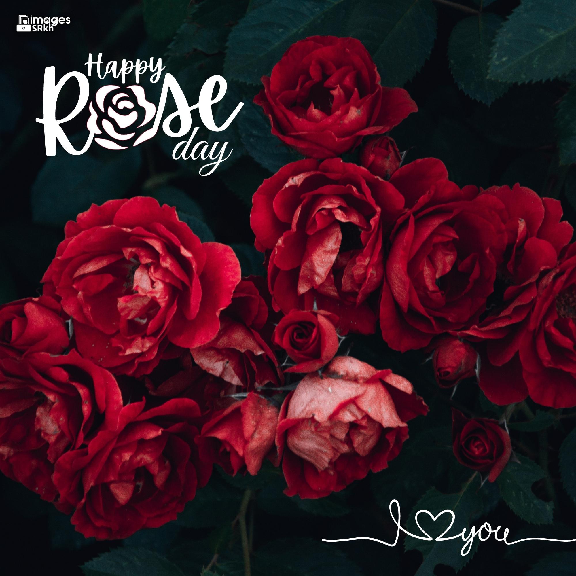 Happy Rose Day Image Hd Download (43)