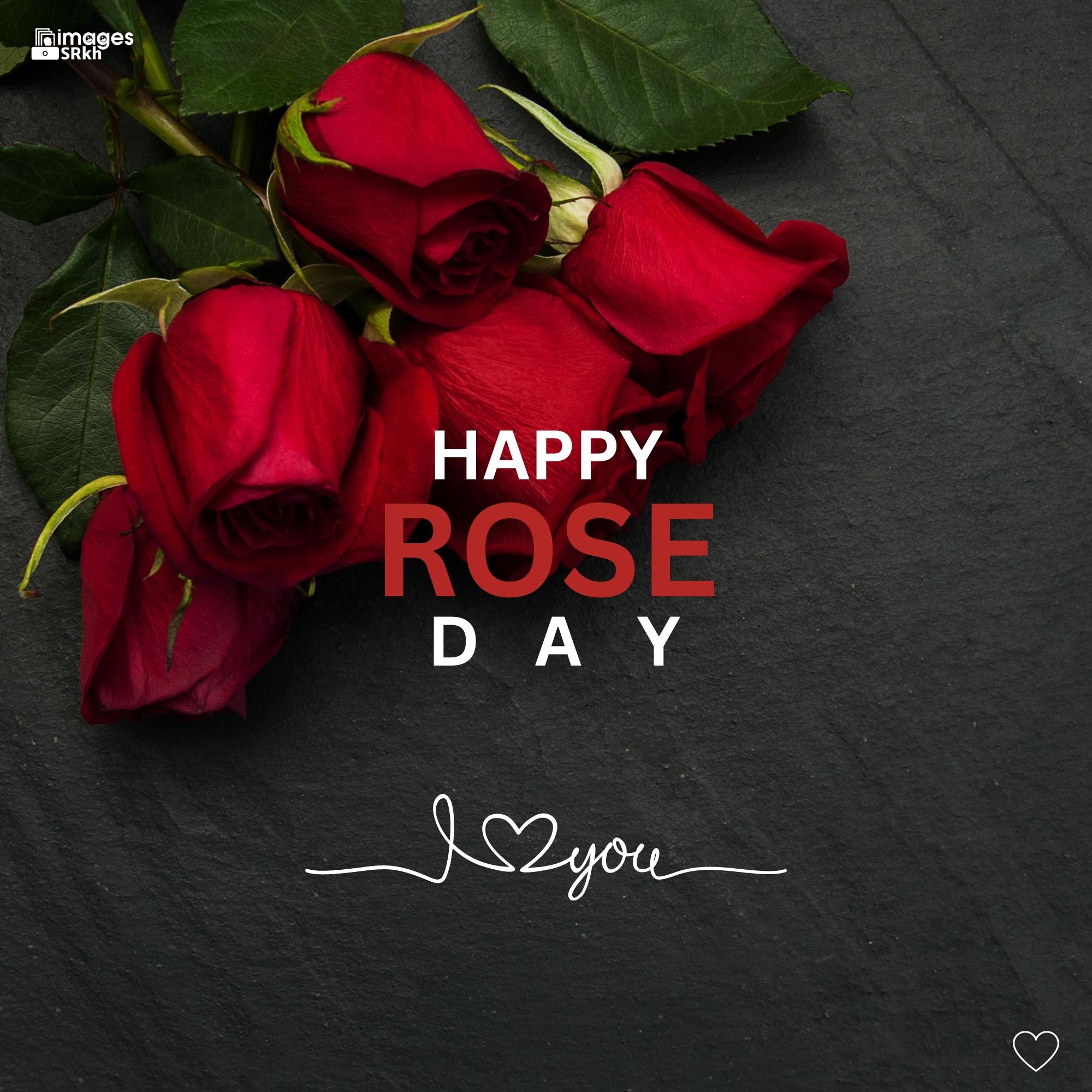 Happy Rose Day Image Hd Download (45)