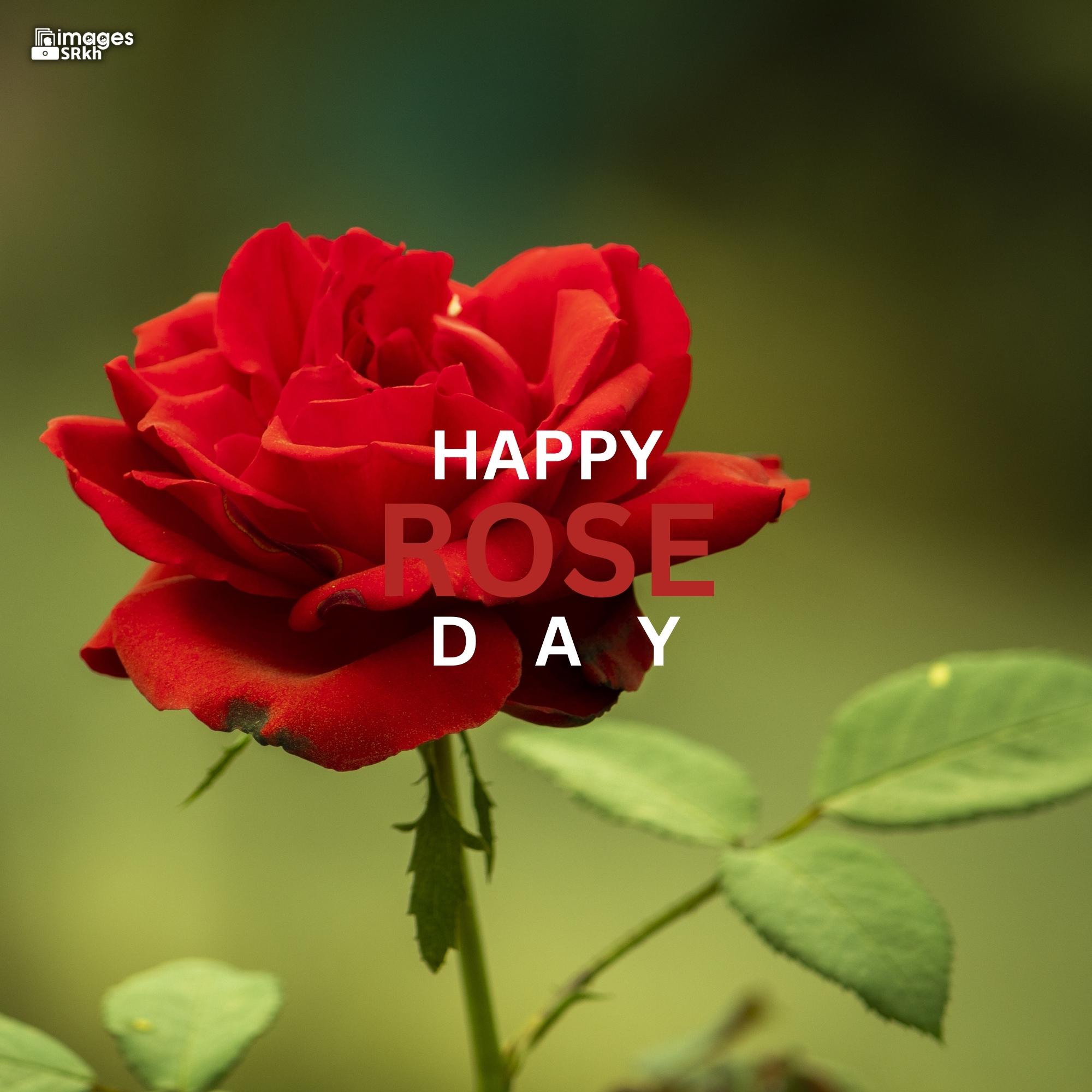 Happy Rose Day Image Hd Download (47)