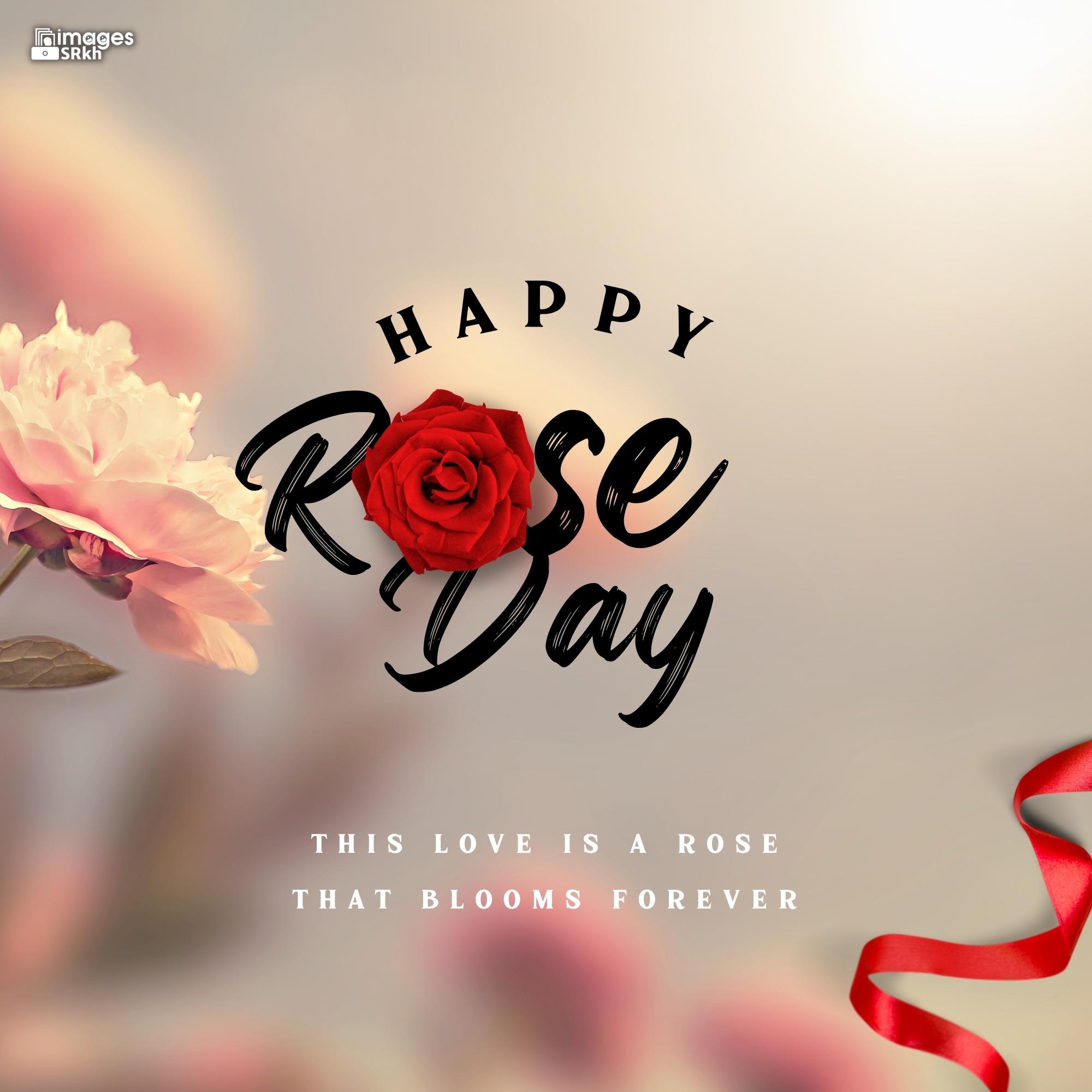🔥 Happy Rose Day Image Hd Download (49) Download free - Images SRkh