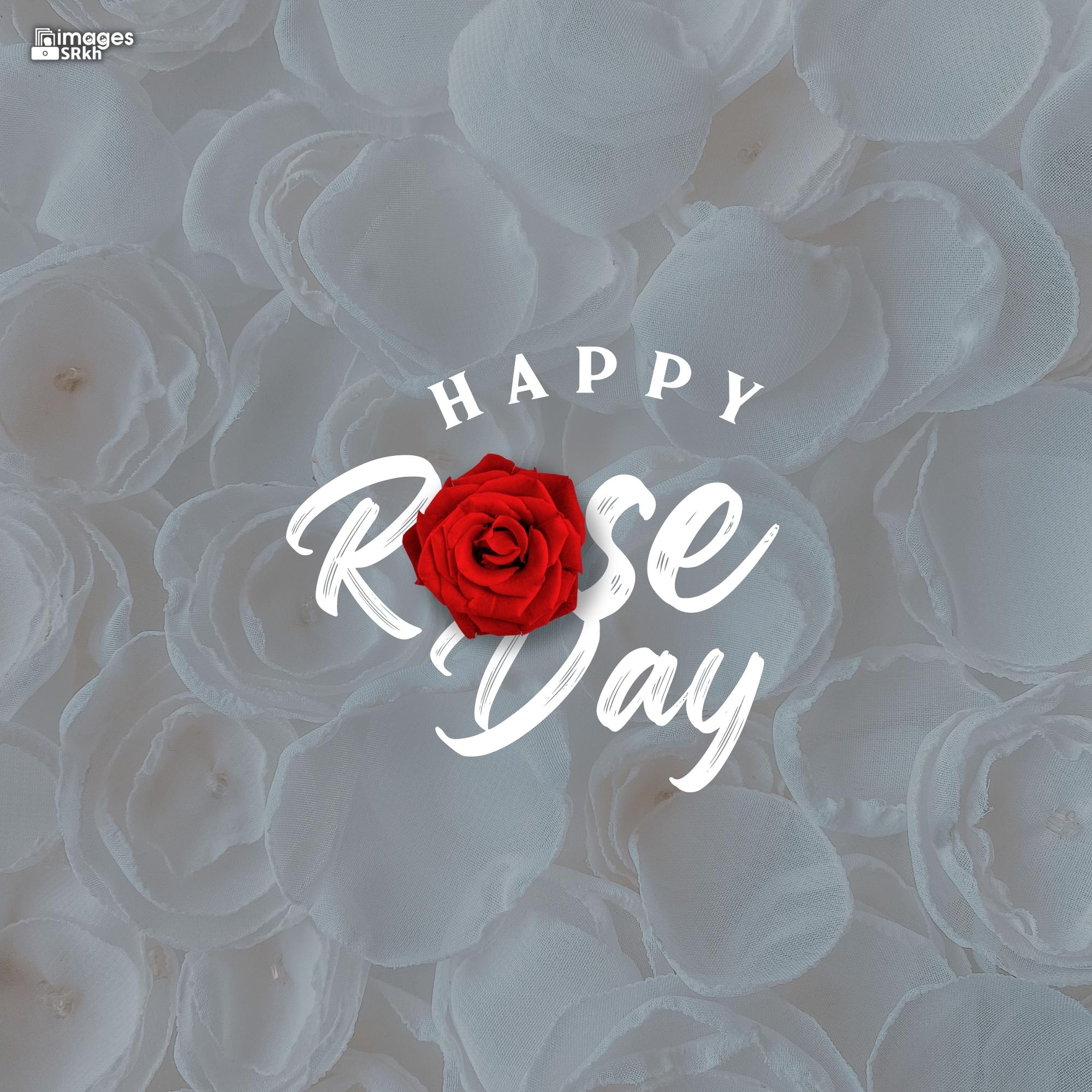 Happy Rose Day Image Hd Download (5)