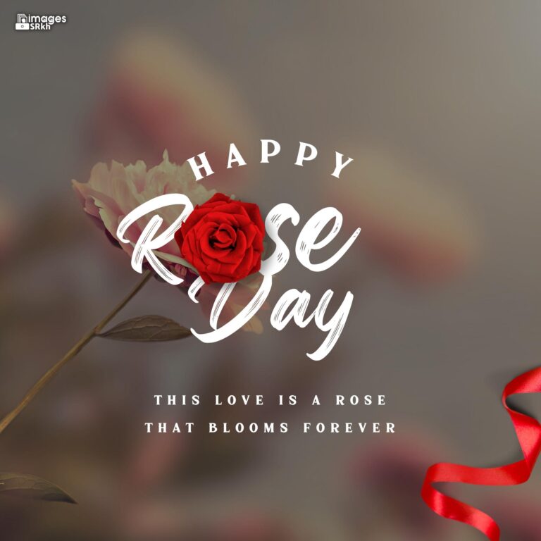 Happy Rose Day Image Hd Download 50 full HD free download.