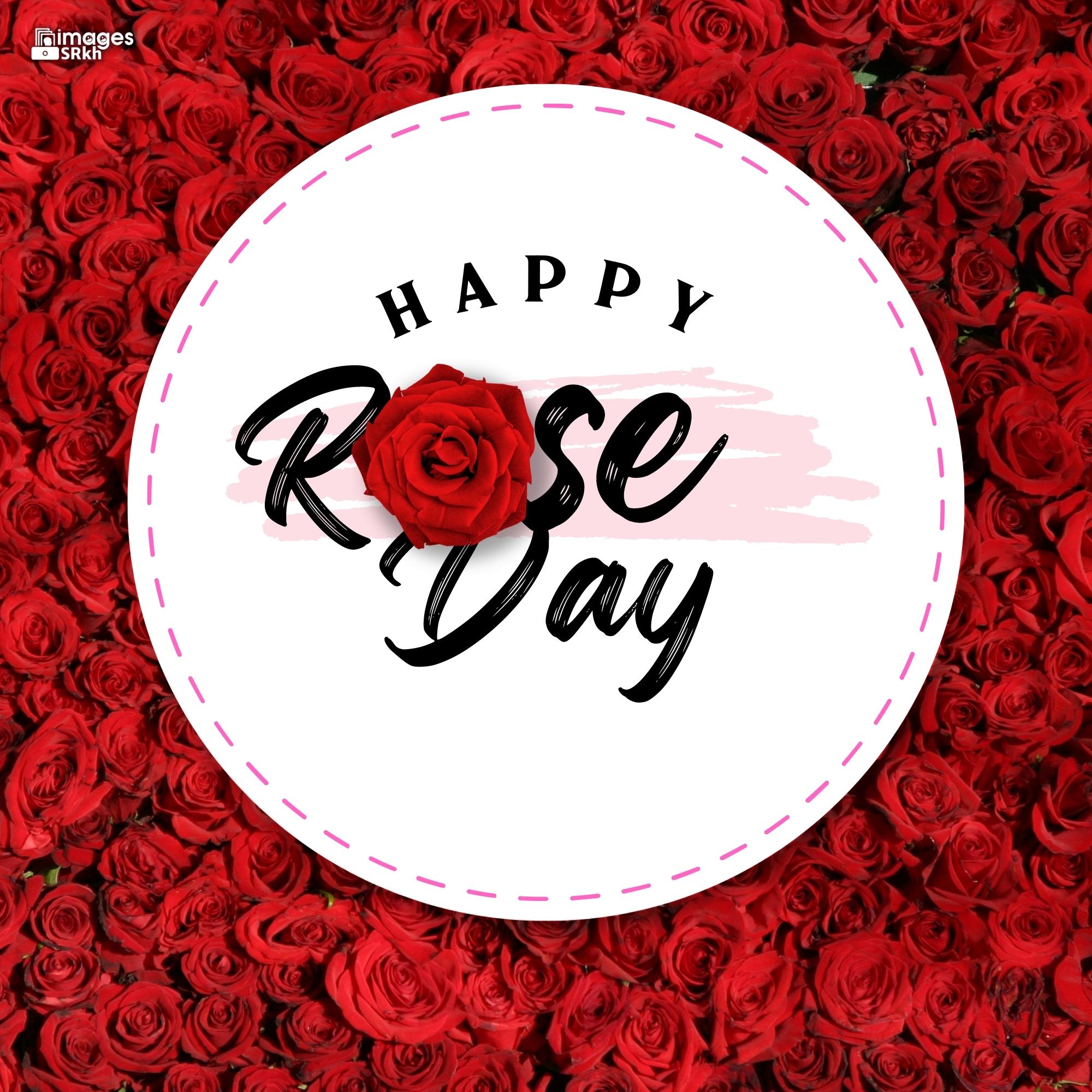 Happy Rose Day Image Hd Download (52)
