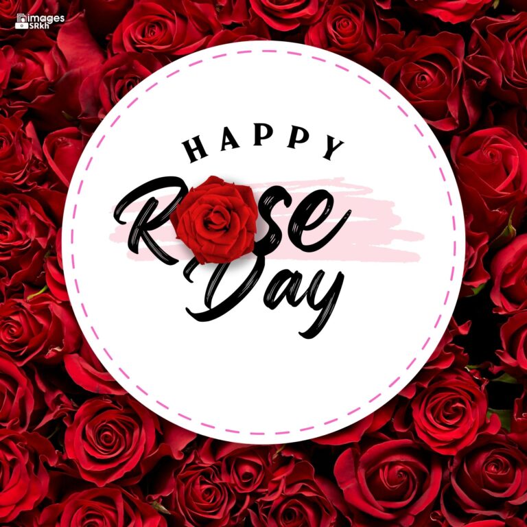 Happy Rose Day Image Hd Download 54 full HD free download.