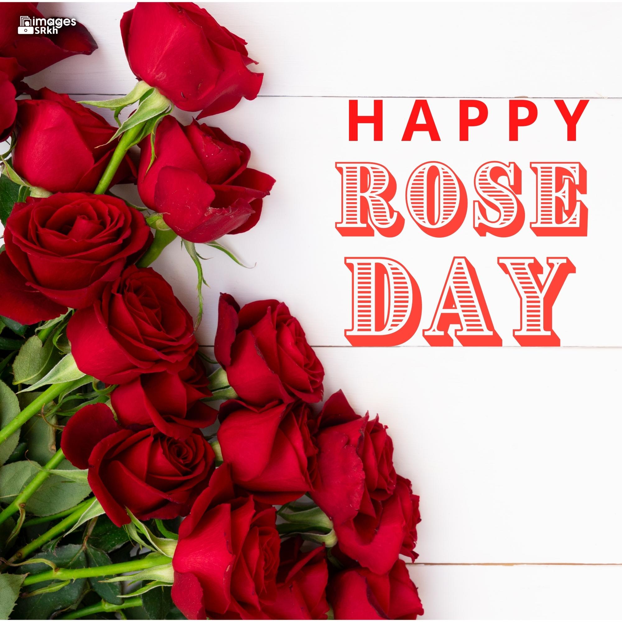 Happy Rose Day Image Hd Download (56)