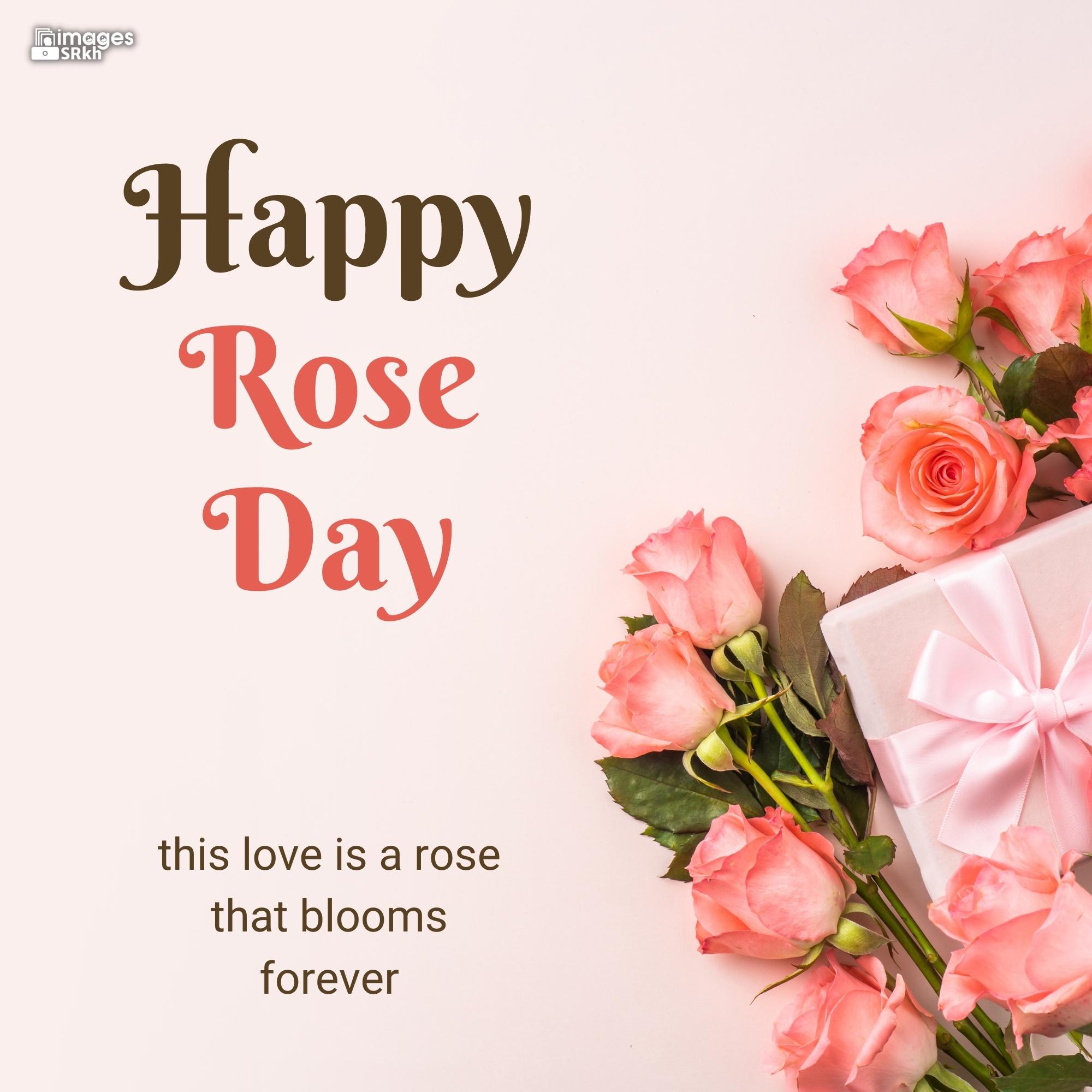 Happy Rose Day Image Hd Download (58)