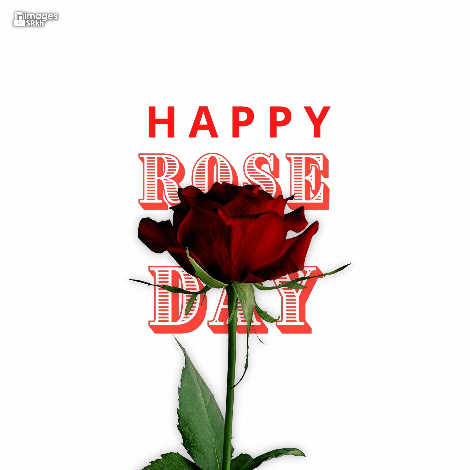 Happy Rose Day Image Hd Download (59)