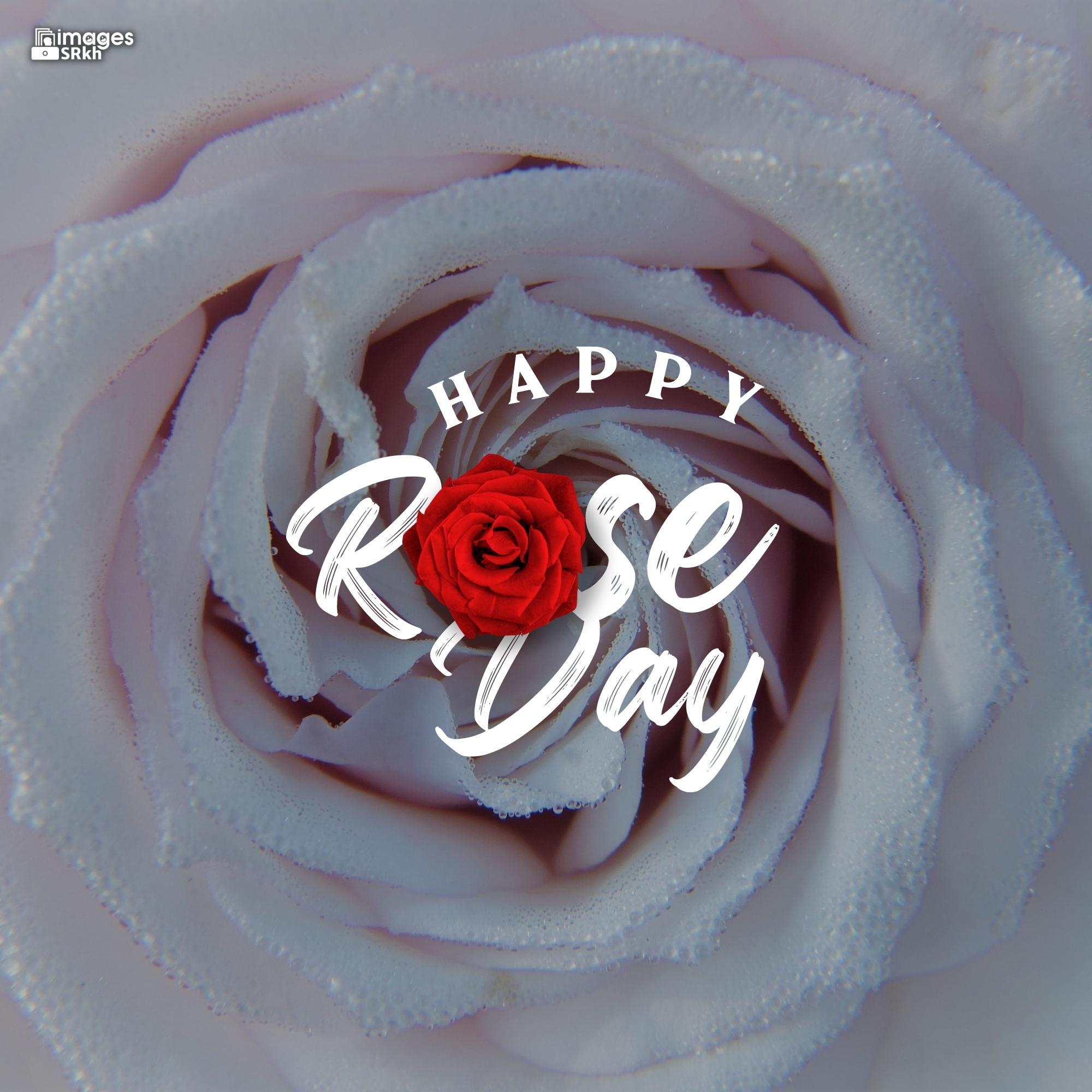 Happy Rose Day Image Hd Download (6)
