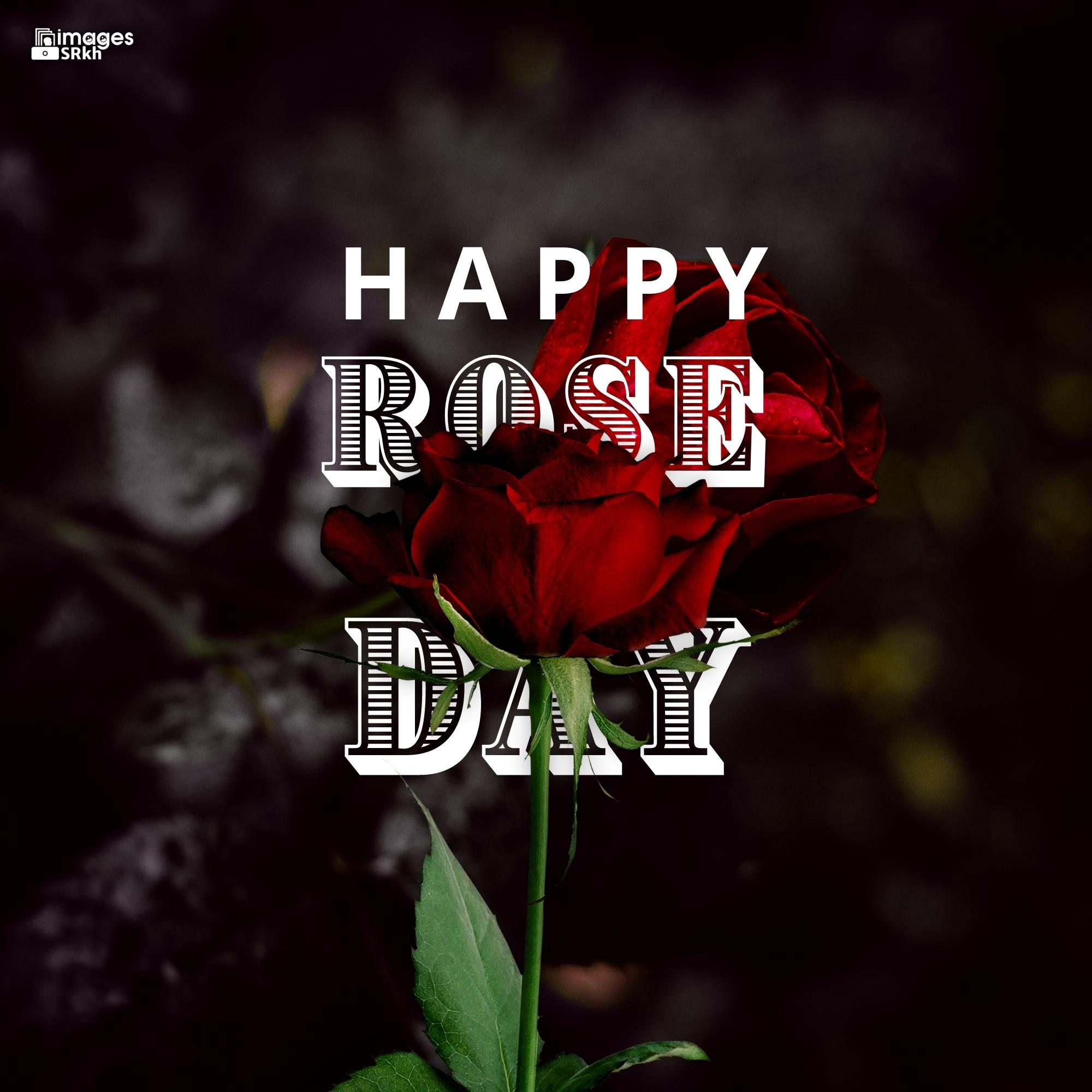 Happy Rose Day Image Hd Download (60)