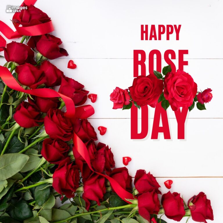 Happy Rose Day Image Hd Download 62 full HD free download.