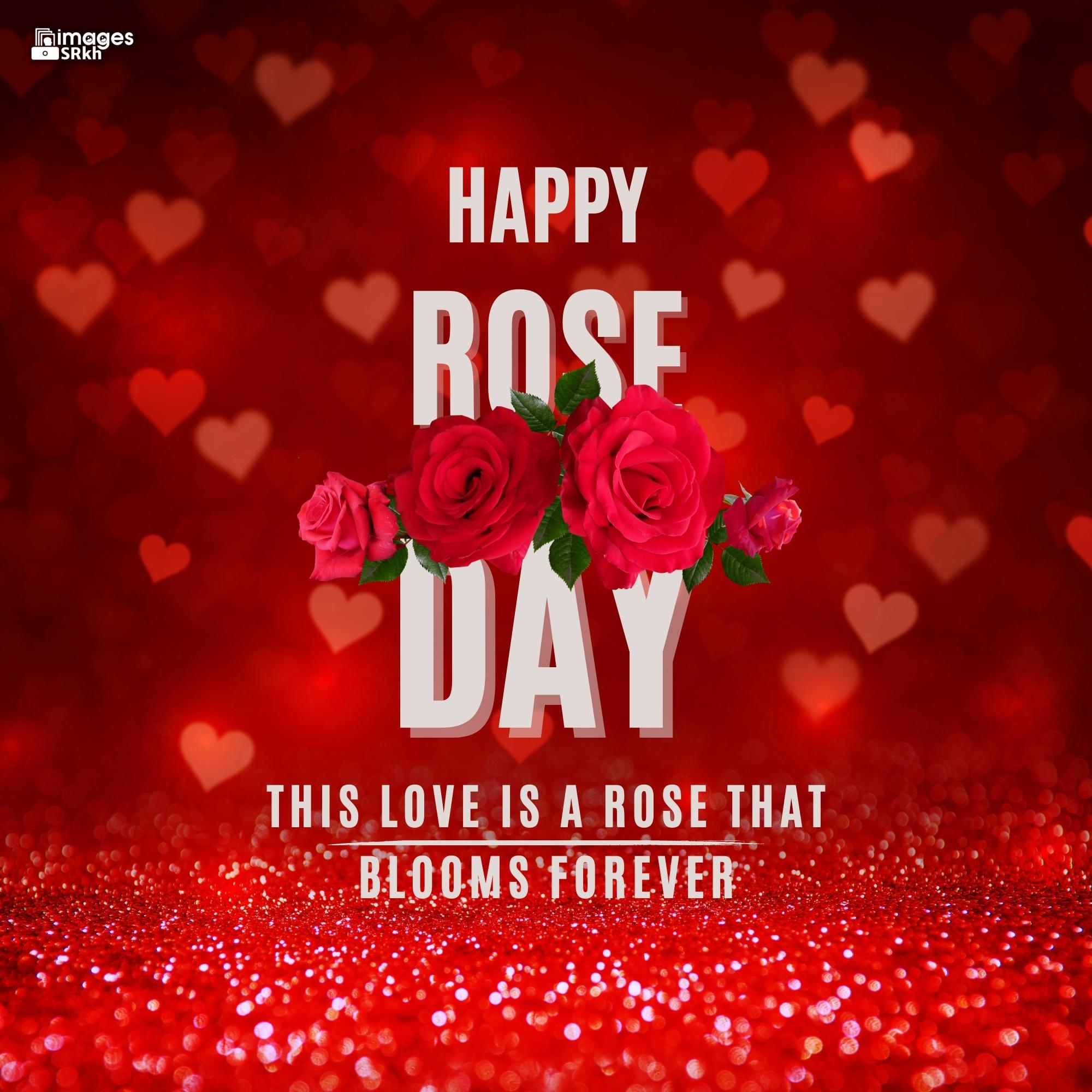Happy Rose Day Image Hd Download (64)