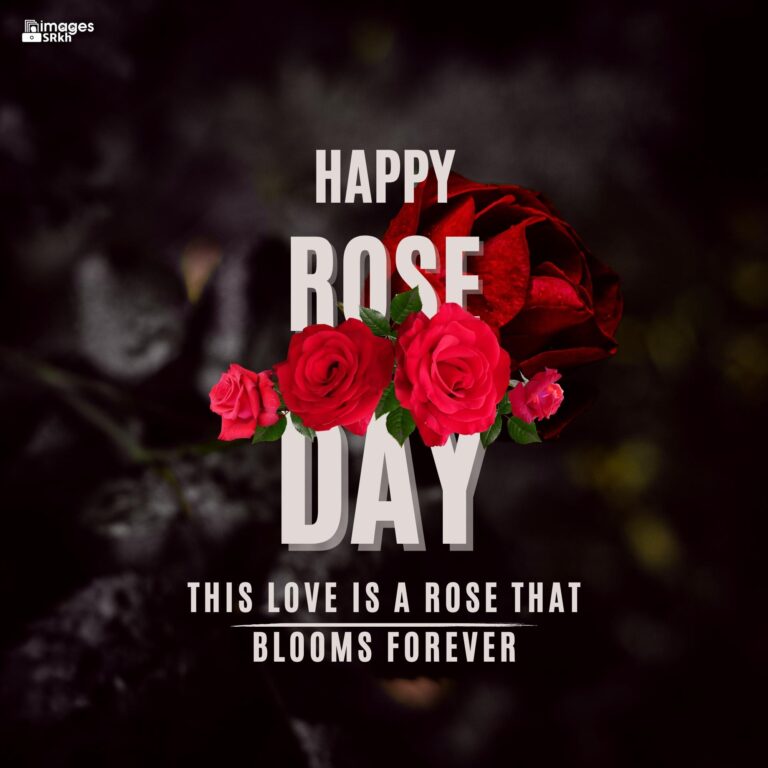Happy Rose Day Image Hd Download 65 full HD free download.