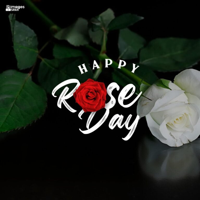 Happy Rose Day Image Hd Download 7 full HD free download.