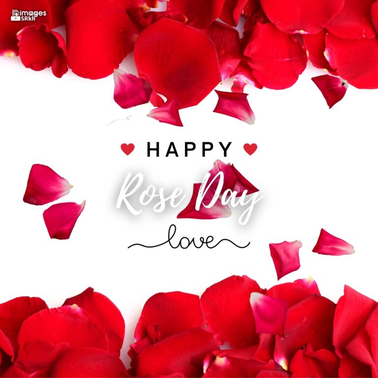 Happy Rose Day Image Hd Download 70 full HD free download.