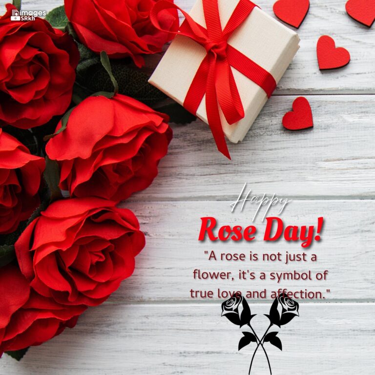 Happy Rose Day Image Hd Download 74 full HD free download.