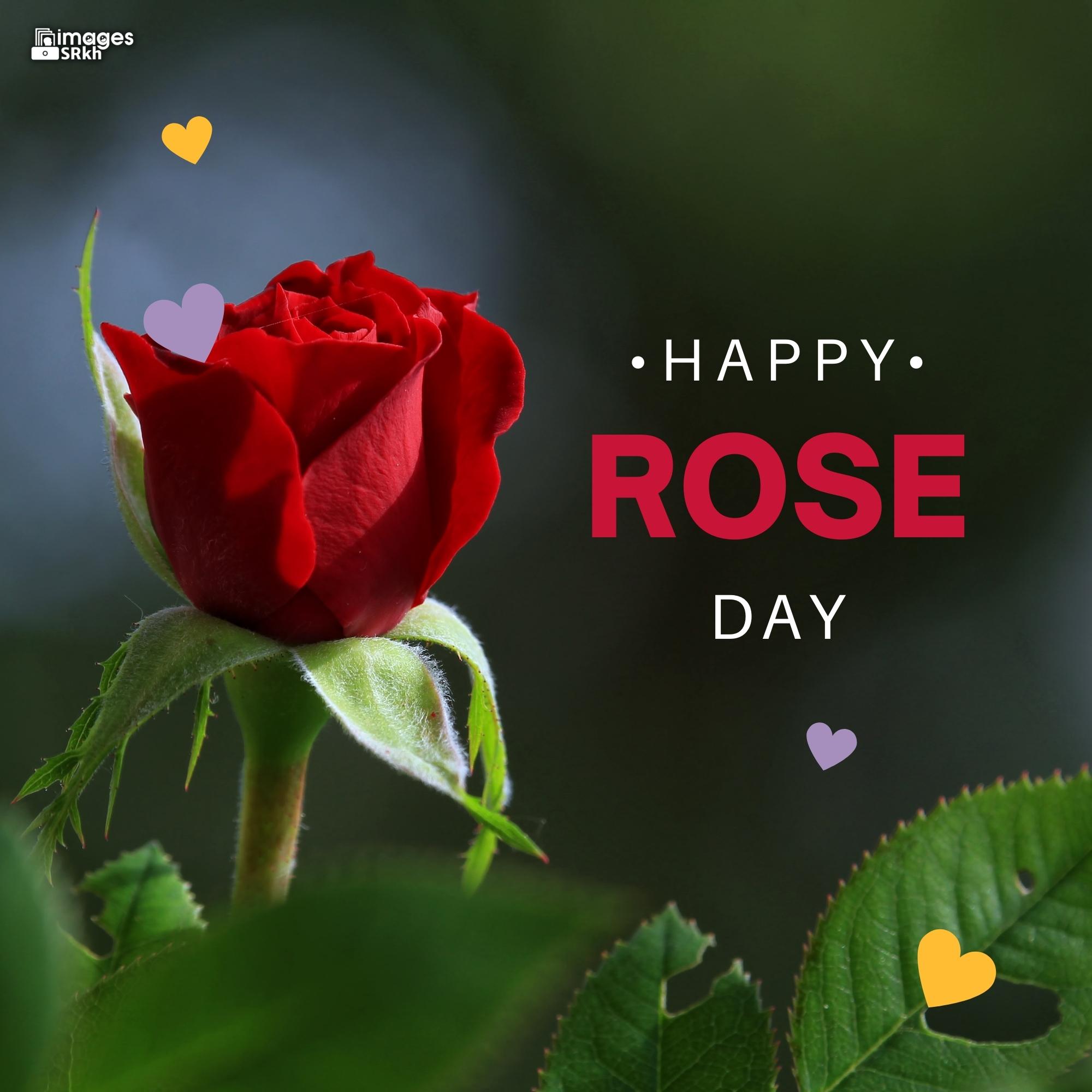 Happy Rose Day Image Hd Download (76)