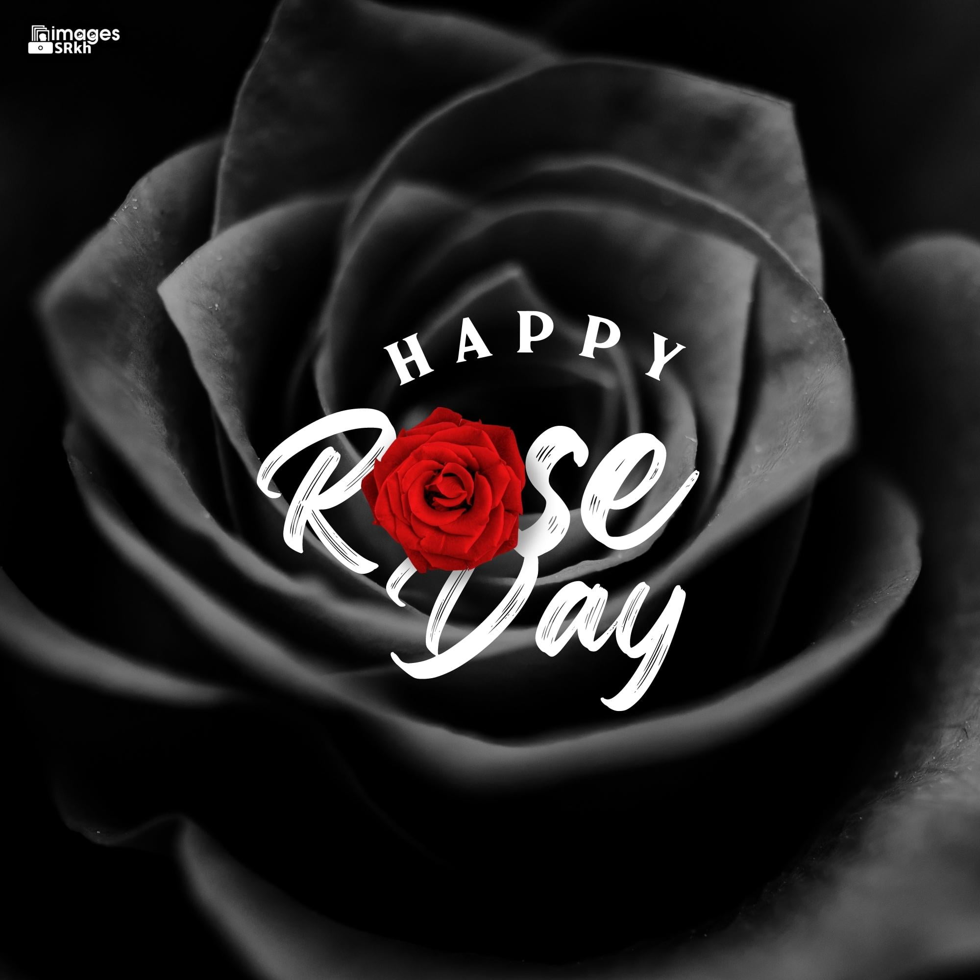 Happy Rose Day Image Hd Download (8)