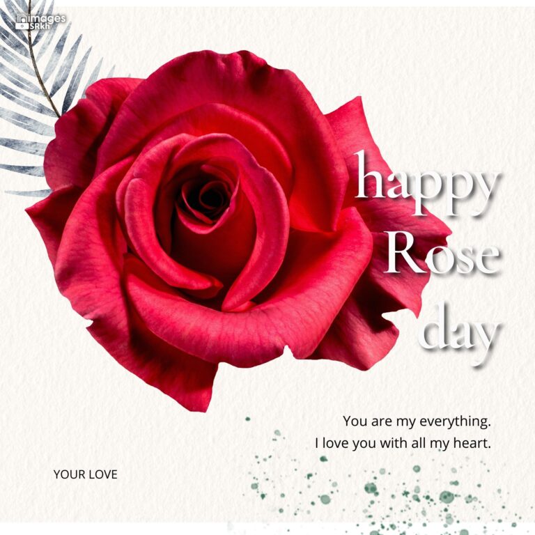 Happy Rose Day Image Hd Download 80 full HD free download.