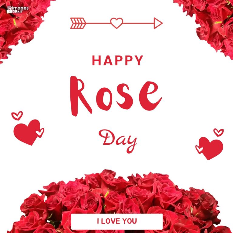 Happy Rose Day Image Hd Download 81 full HD free download.