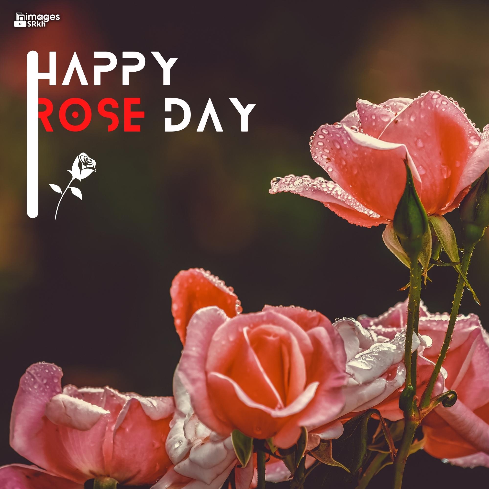 Happy Rose Day Image Hd Download (83)