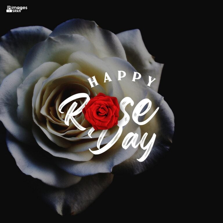Happy Rose Day Image Hd Download 9 full HD free download.