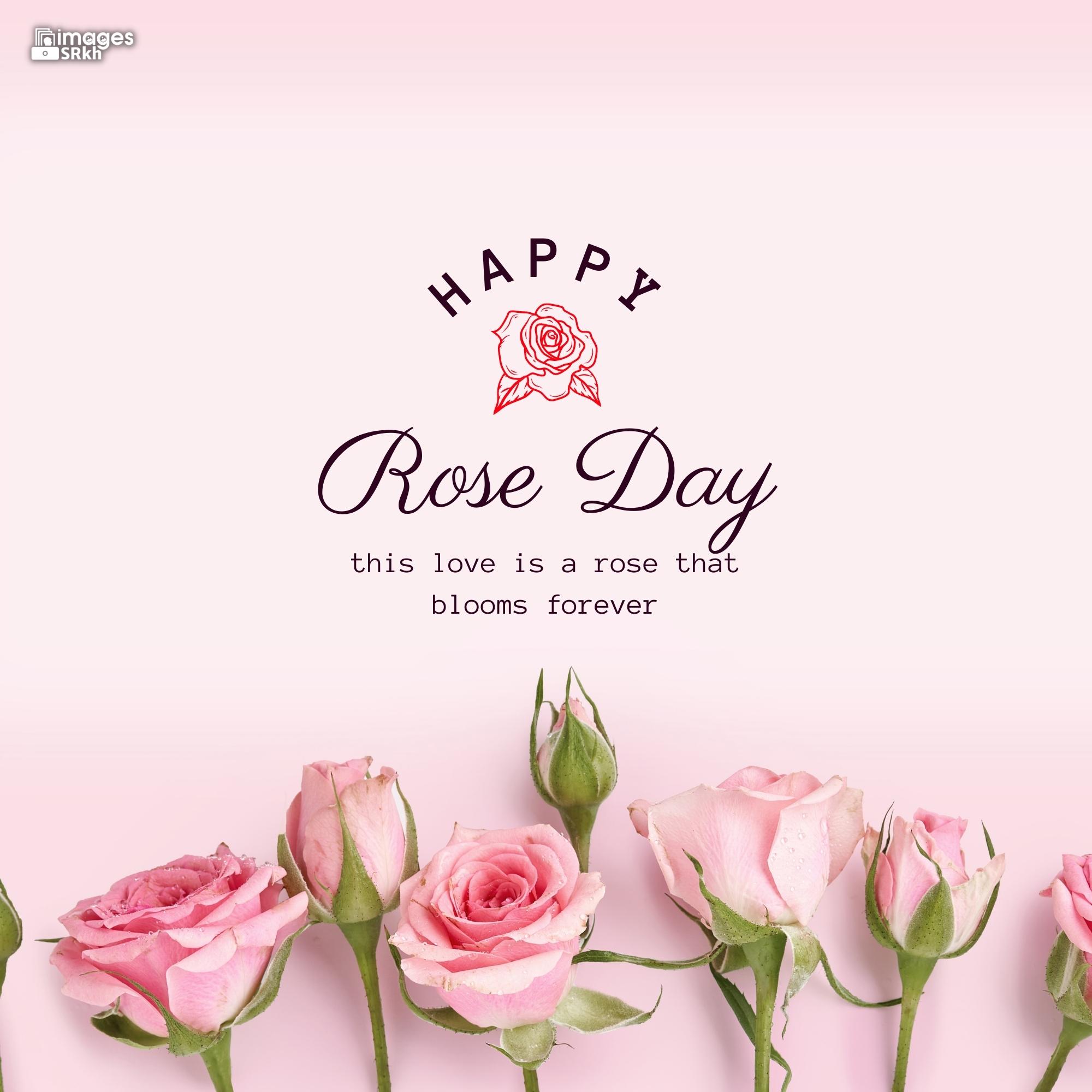 Happy Rose Day Image Hd Download (95)