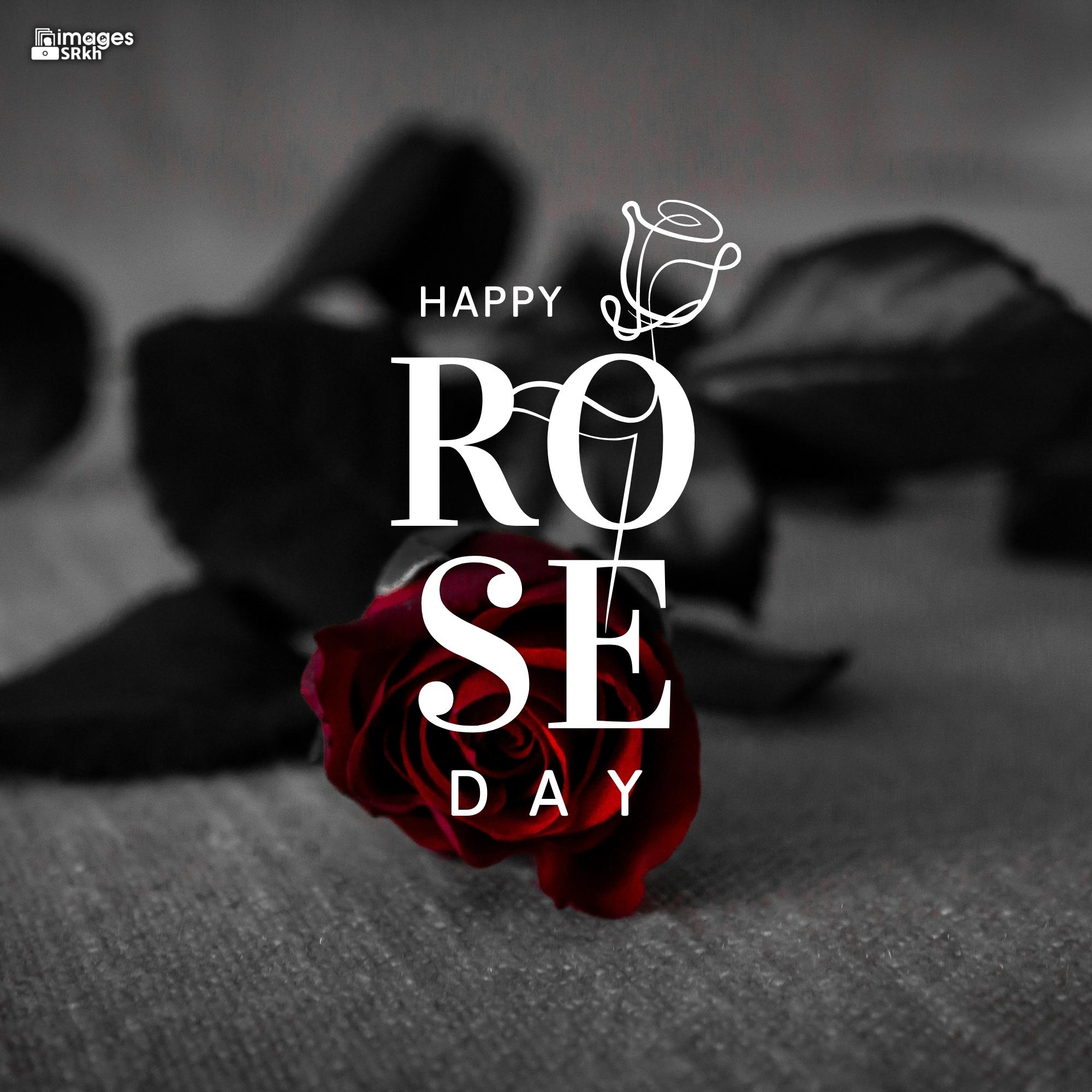 Happy Rose Day Image Hd Download (99)